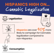 hispanics-high-on-cannabis-legalization-2